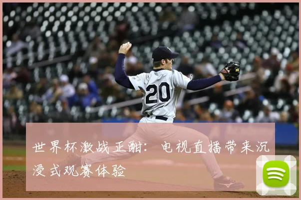 世界杯激战正酣:电视直播带来沉浸式观赛体验