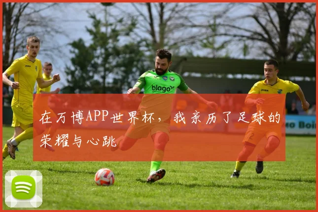 在万博APP世界杯，我亲历了足球的荣耀与心跳