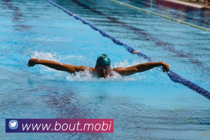 开云手机网页登录网页平台生态图